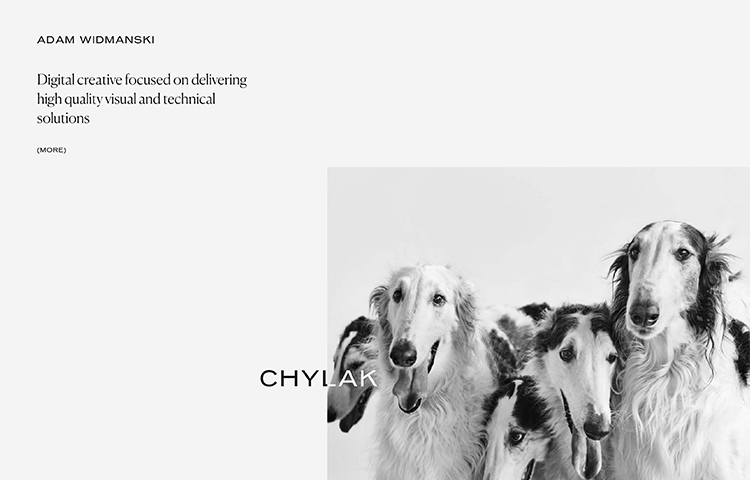 AW creative portfolio website showcase