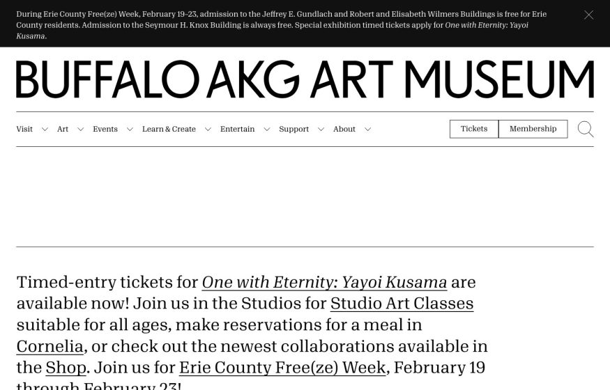 Buffalo AKG Art Museum