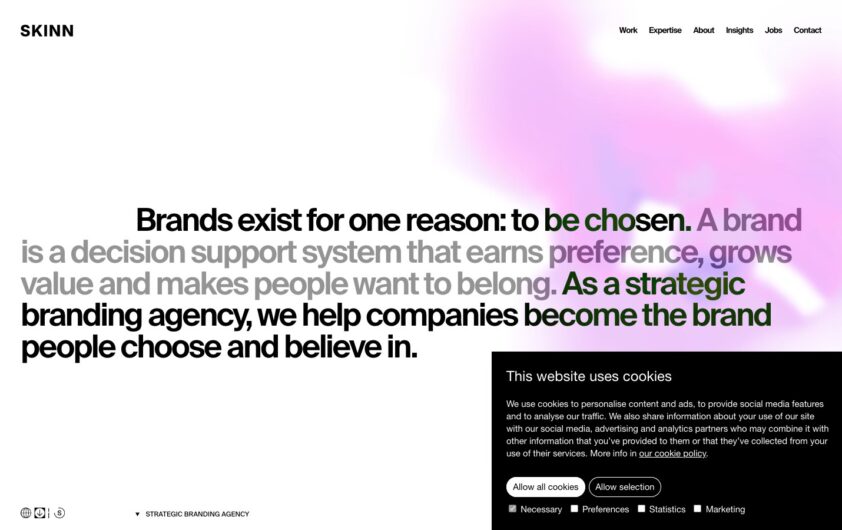 Skinn Branding Agency