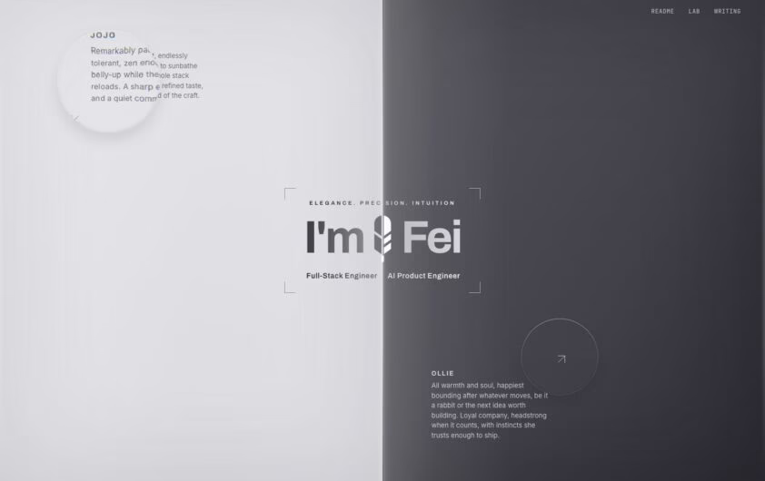 Fei Hu