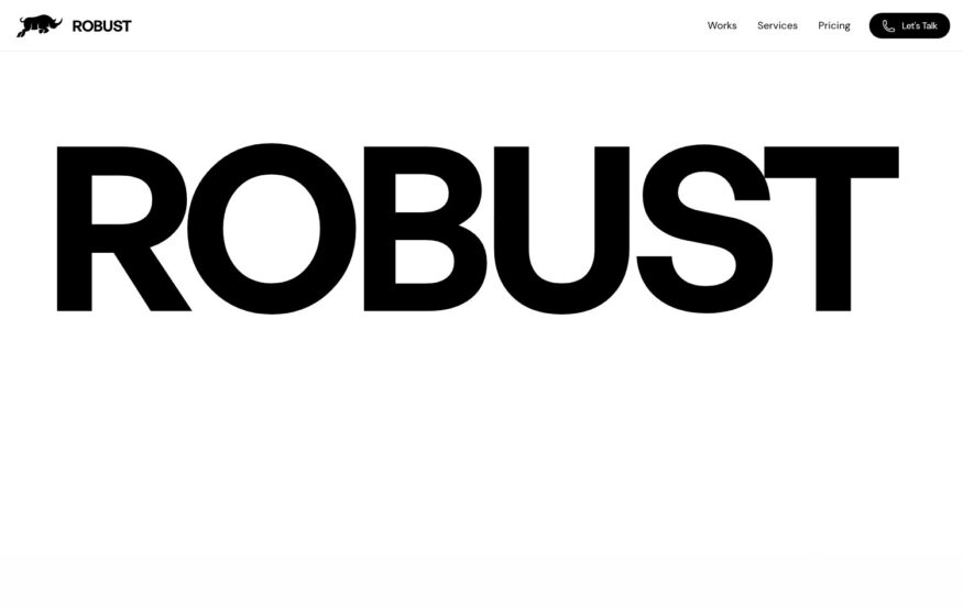 Robust Design Studio