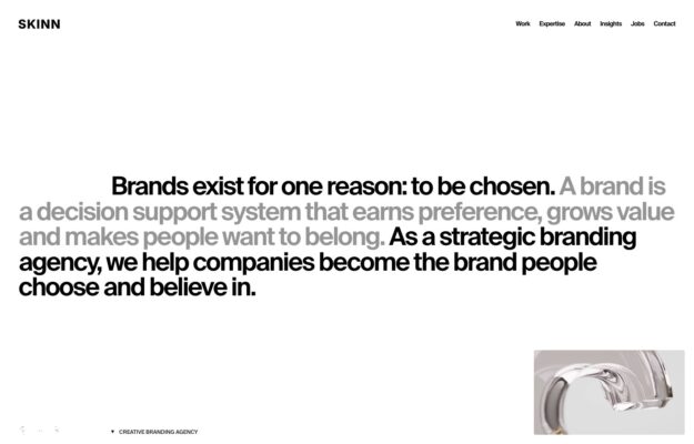 Skinn Branding Agency website on desktop, captured 2026-10-12