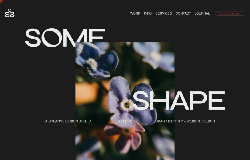 Some Shape Studio